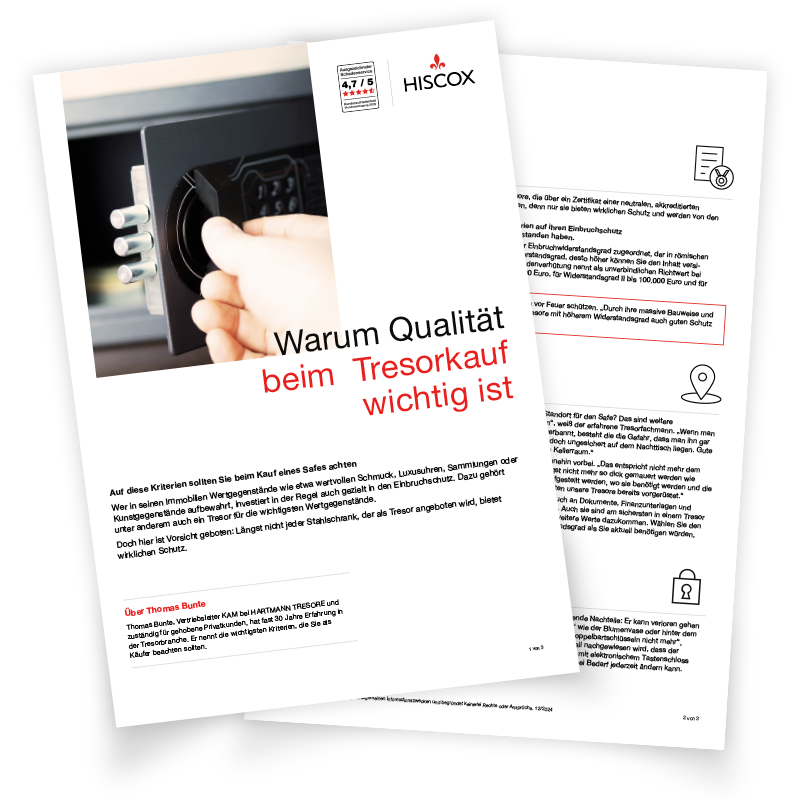 Vorschau auf das Factsheet mit Tipps zum Tresorkauf