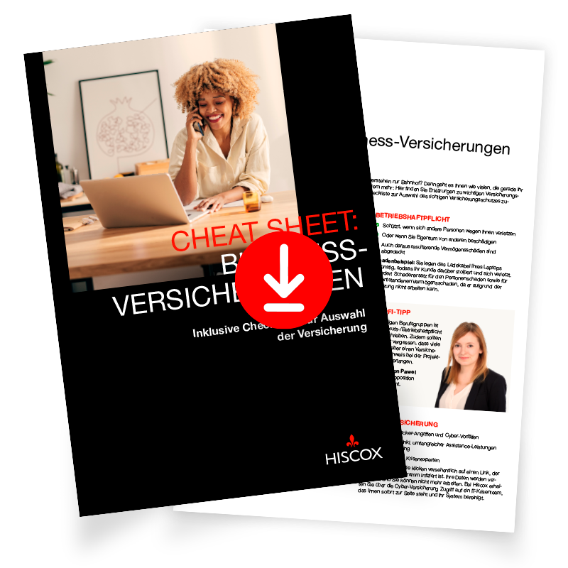 Vorschau des Cheat Sheets für Gründende