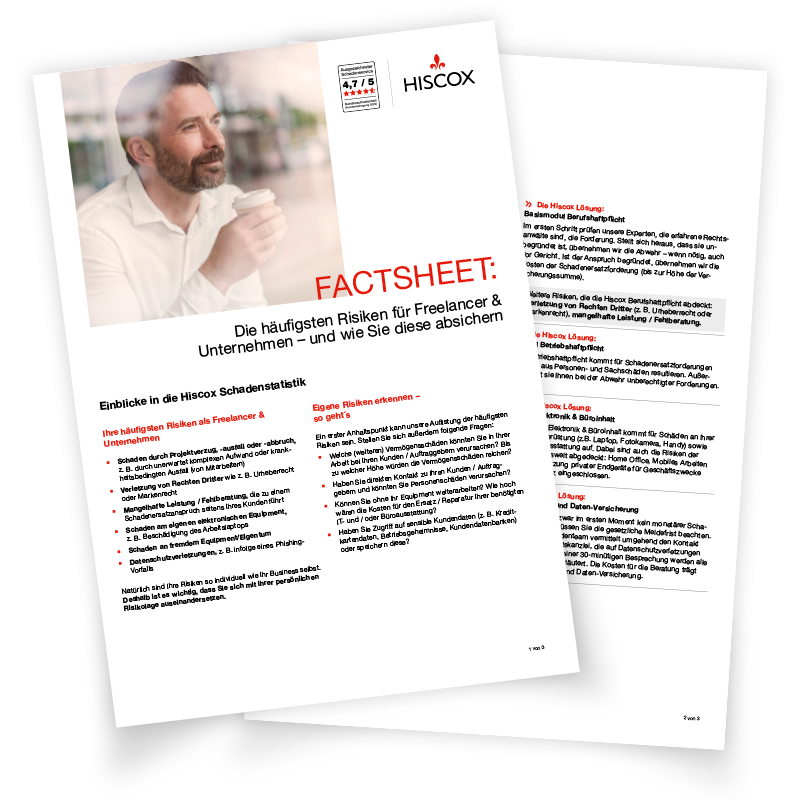Vorschau des Factsheets zu häufigen Risiken für Freelancer und Unternehmen