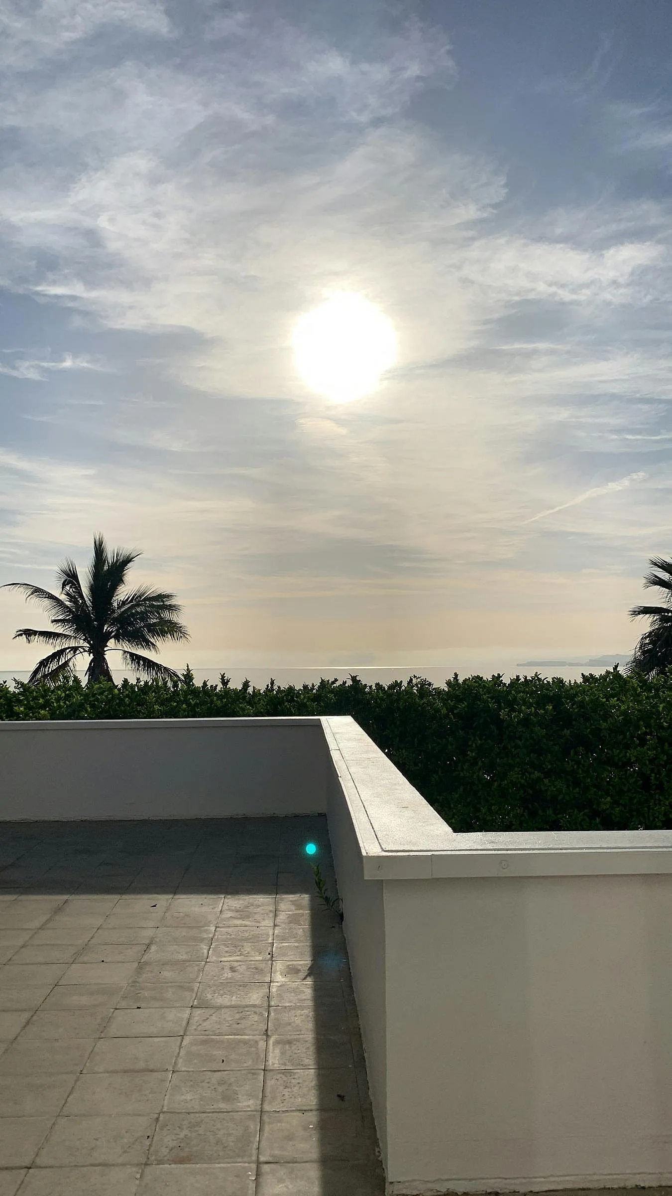 Über einem ruhigen Meer scheint strahlender Sonnenschein, betrachtet von einer gefliesten Terrasse mit weißer Wand und grünen Hecken, eingerahmt von Palmen unter einem wolkigen blauen Himmel.