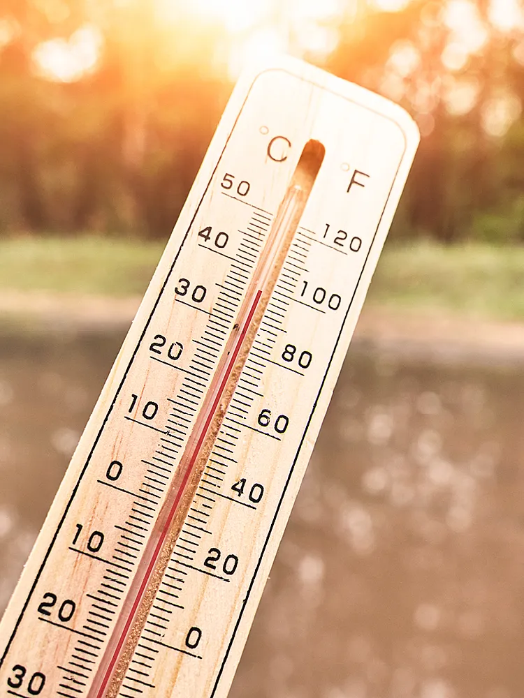 Ein Holzthermometer zeigt eine Hitze von fast 40 Grad. Im Hintergrund ist unscharf ein Wald zu sehen und die brennende Sonne