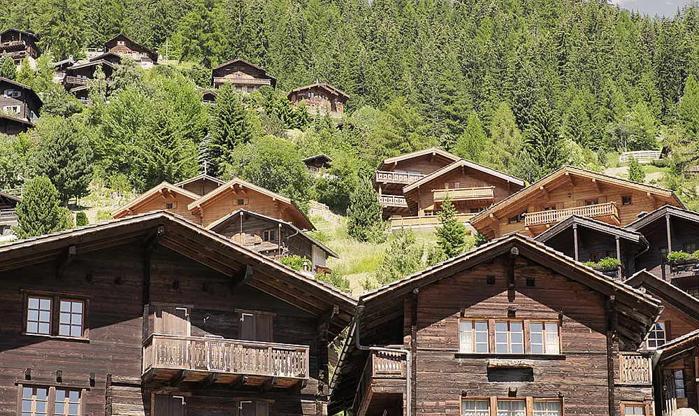 Alpendorf mit Holzchalets an einem üppigen, grünen Hang. Die Szene ist ruhig und malerisch, umgeben von dichten Kiefernwäldern unter einem klaren Himmel.