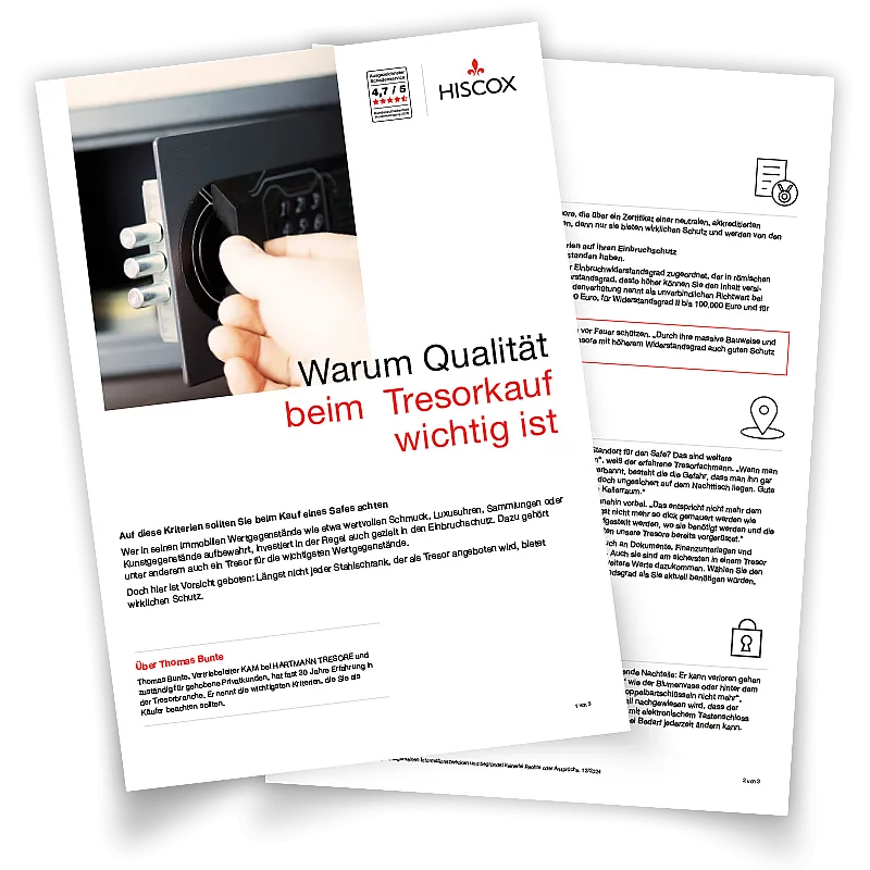 Vorschau auf das Factsheet mit Tipps zum Tresorkauf