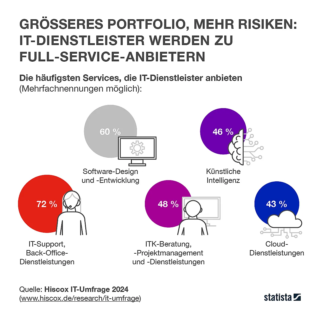 Informationsgrafik über IT-Dienstleistungen mit Prozentangaben der häufigsten Services